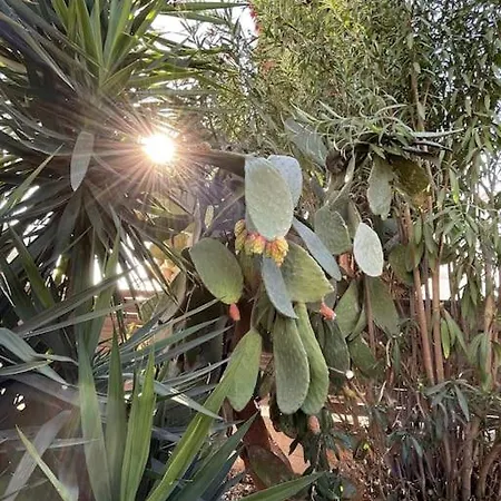 Boutique Family Design Near Sea Villa