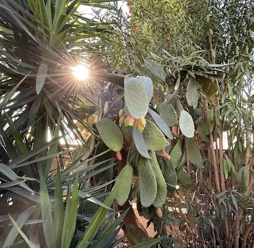 Boutique Family Design Near Sea Villa